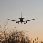 Samolot lądujący o zachodzie słońca na tle drzew