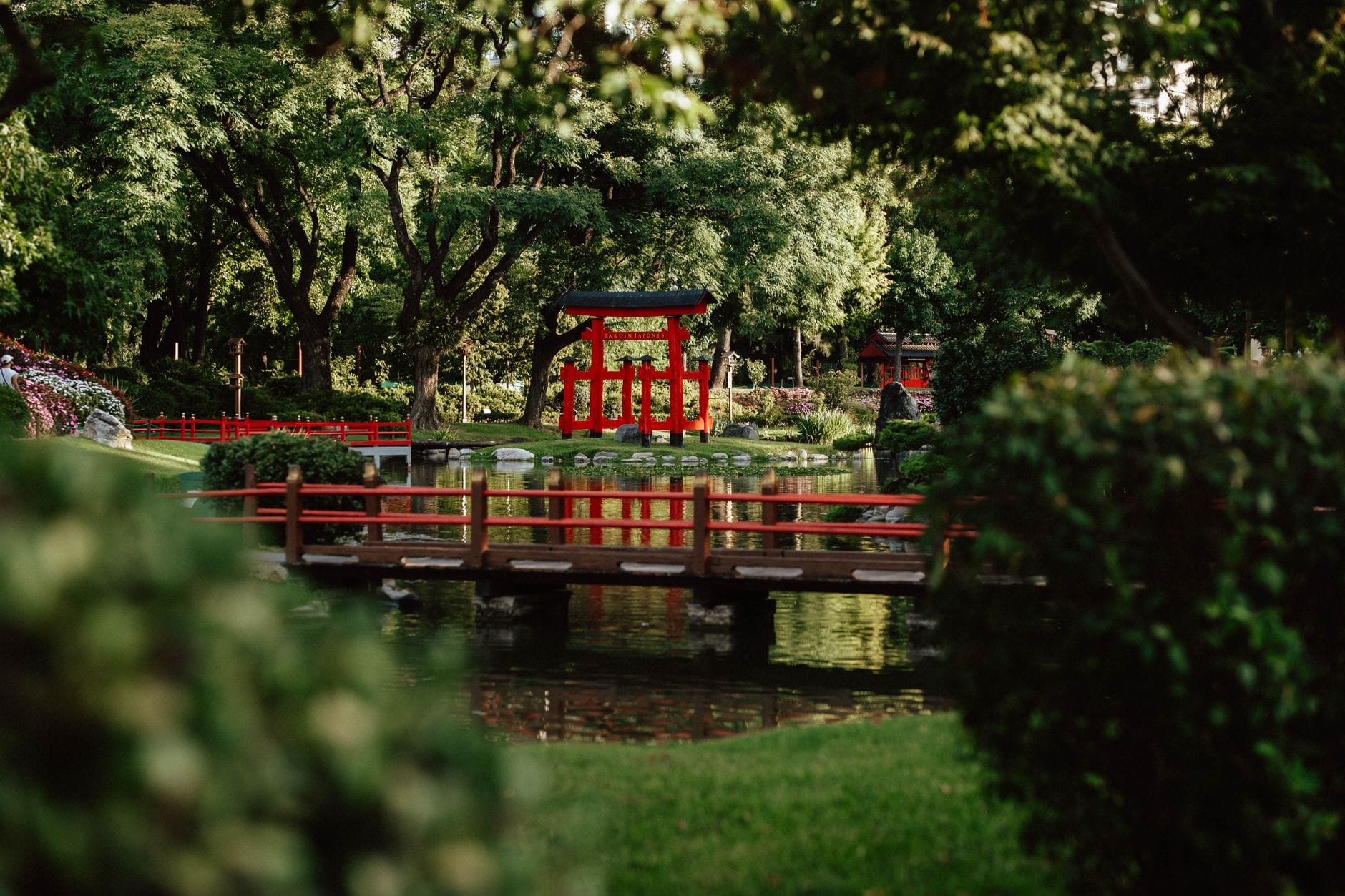 Japoński ogród nad stawem z czerwonym torii w Buenos Aires